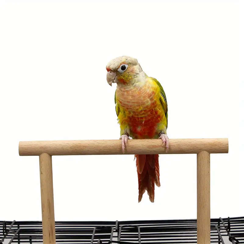 Solid Wood Bird Perch Stand