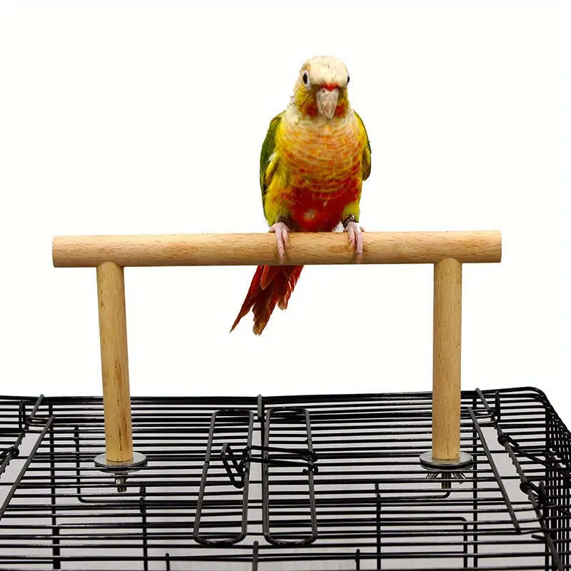 Solid Wood Bird Perch Stand