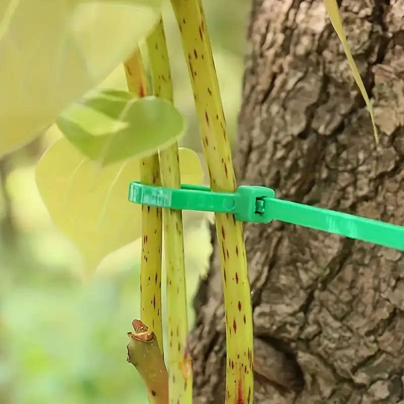 100pcs Garden Cable Tie Plant Wrapping Plant Fixing Garden Care Use Potted Garden Plant Shelf Fixing