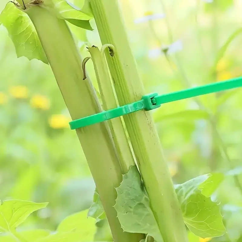 100pcs Garden Cable Tie Plant Wrapping Plant Fixing Garden Care Use Potted Garden Plant Shelf Fixing