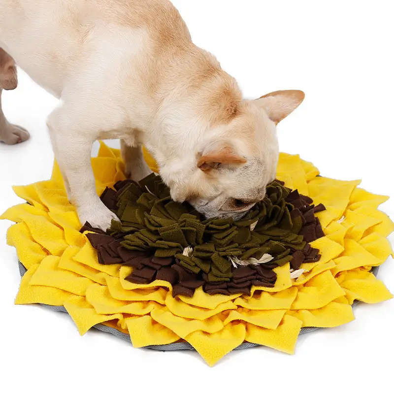 Dog Toys