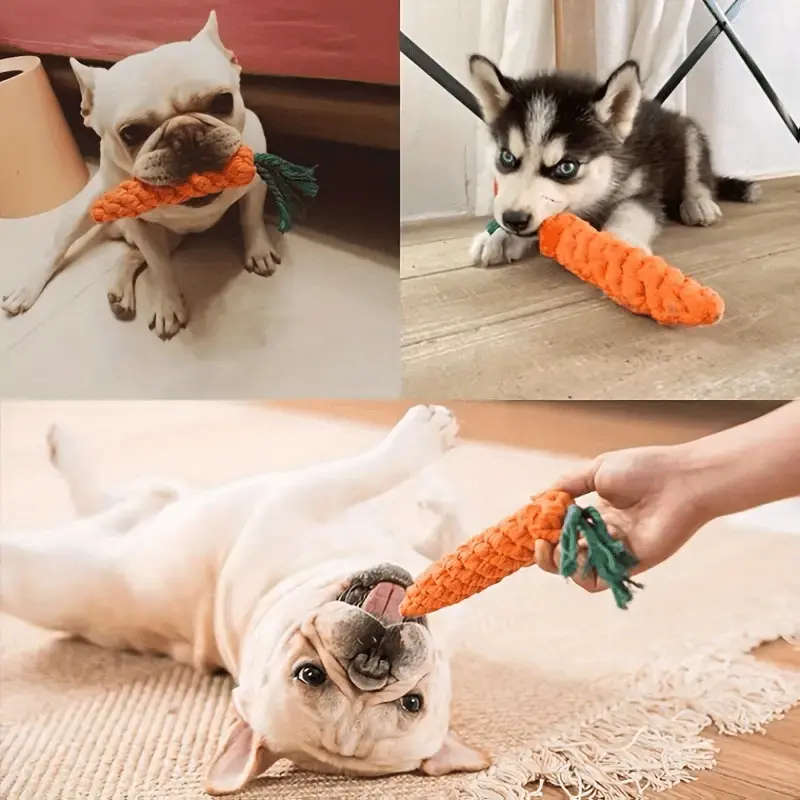 Pet Chew Toy