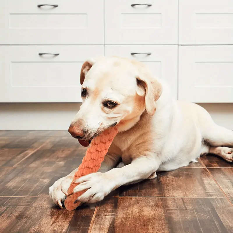 Pet Chew Toy