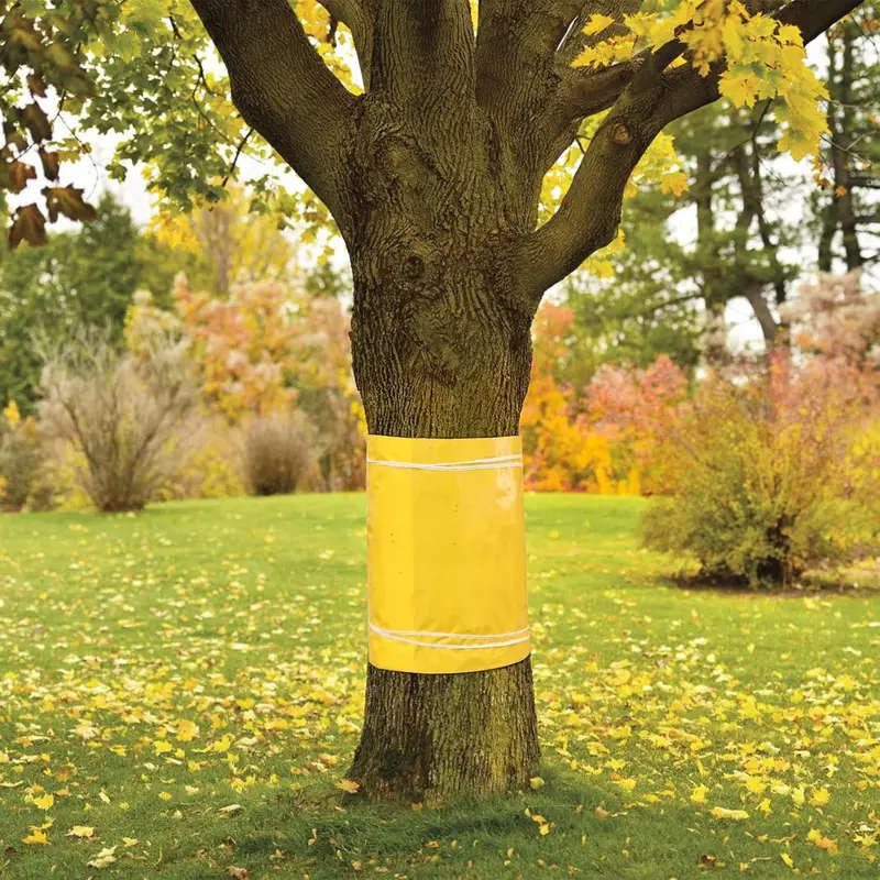 Self-Adhesive Fruit Tree Grafting Tape