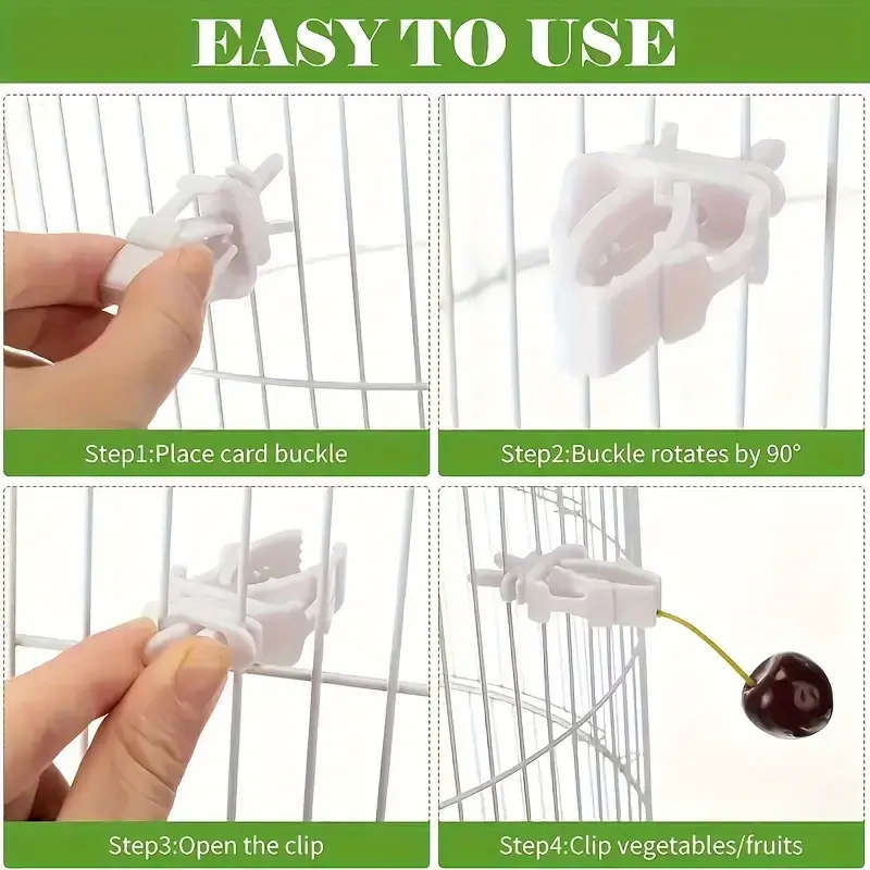 Small Bird Feeder