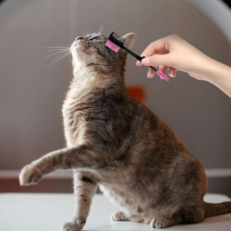 1pc Yellow Pet Comb