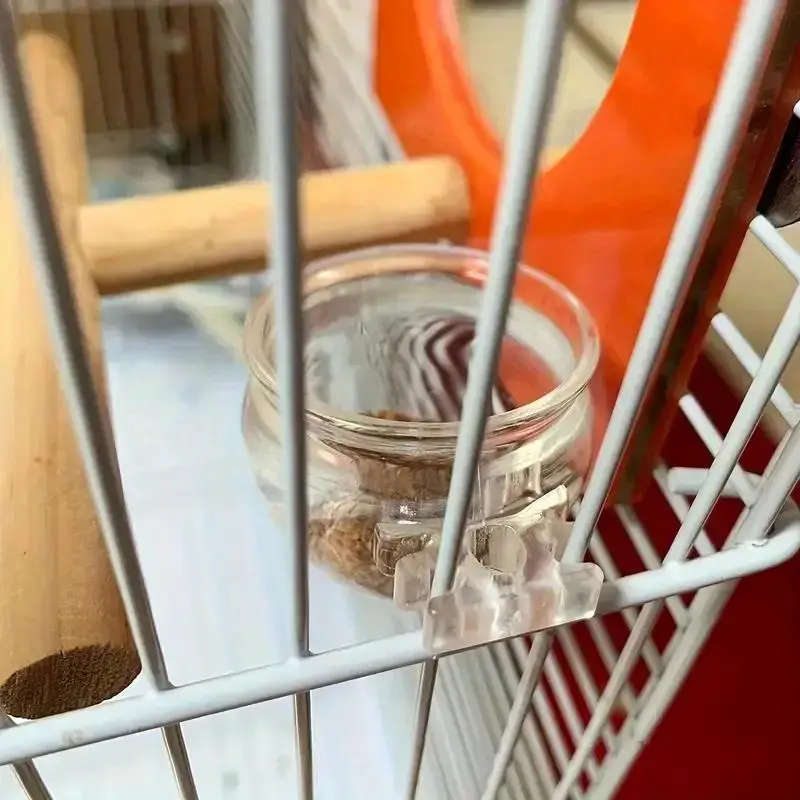 Small Bird Feeder