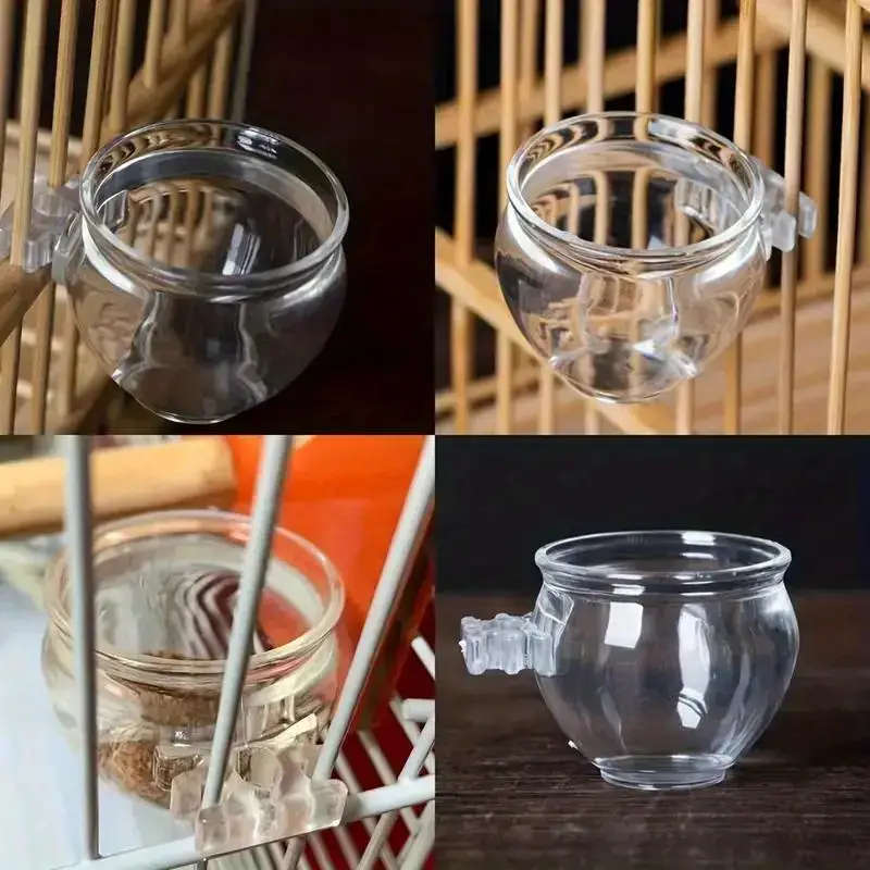 Small Bird Feeder
