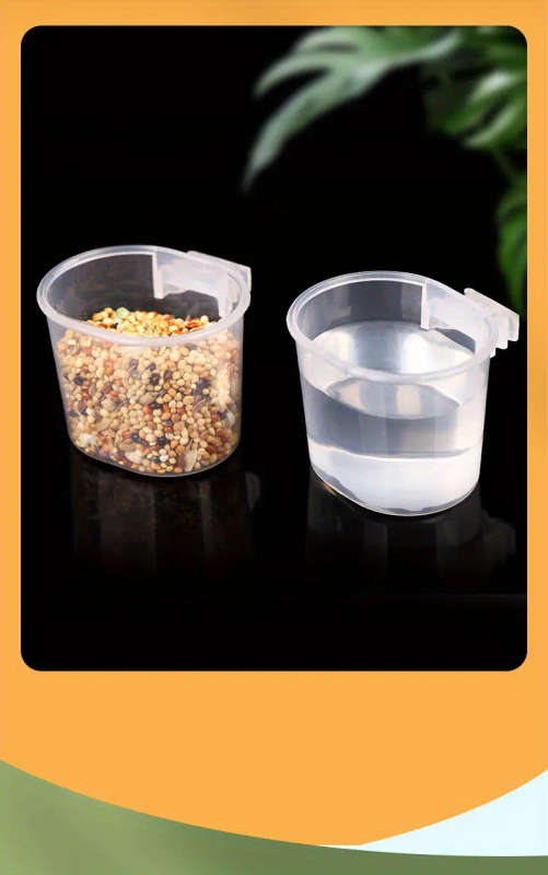 Bird Feeder