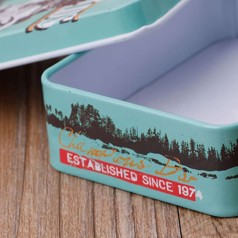 1pc Rectangular Iron Box Cartoon Mini Card Holder Hairpin Jewelry Storage Retro Design Bohemian