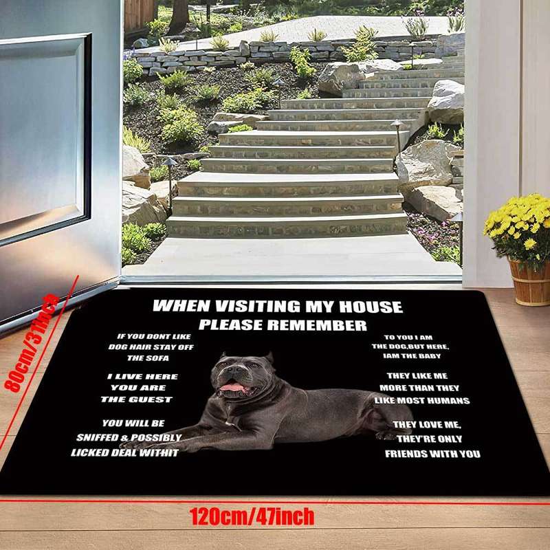 1Pc 50x80cm 19x31inch Floor Mat