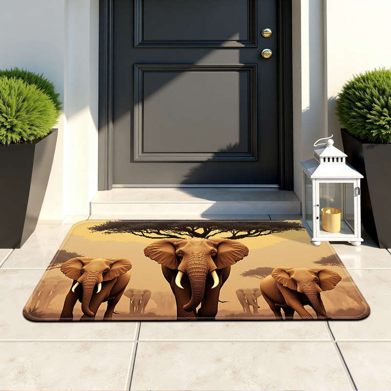 1Pc 40x60cm 15.7x23.6inch Floor Mat