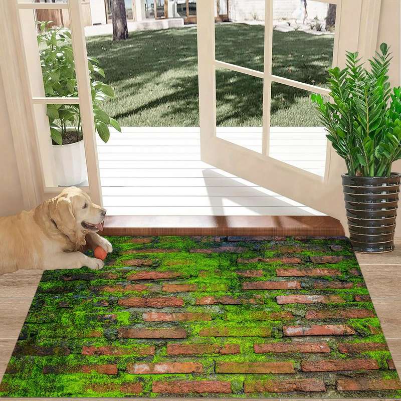 1Pc 50x80cm 19x31inch Floor Mat