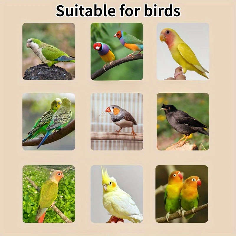 Pet Cage