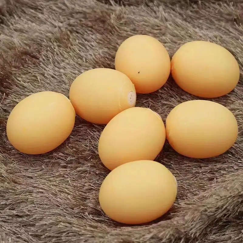 Pet Chew Toys