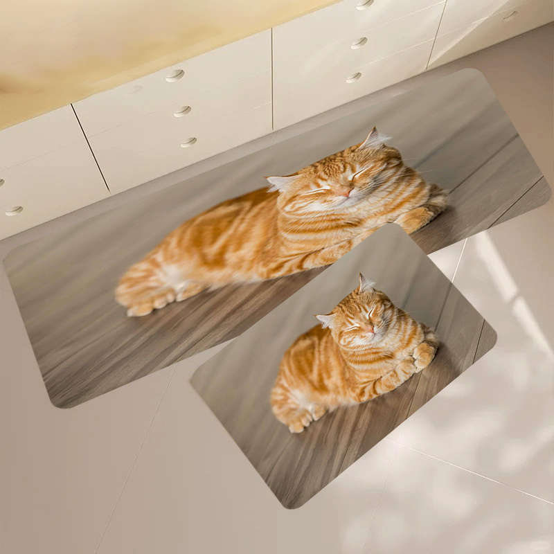 1Pc 40x60cm 15.74x23.62inch Floor Mat