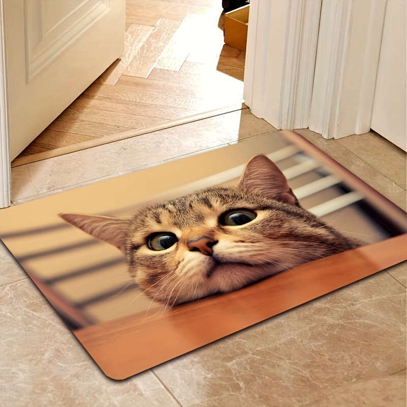 1Pc 50x80cm 19.7x31.5inch Floor Mat