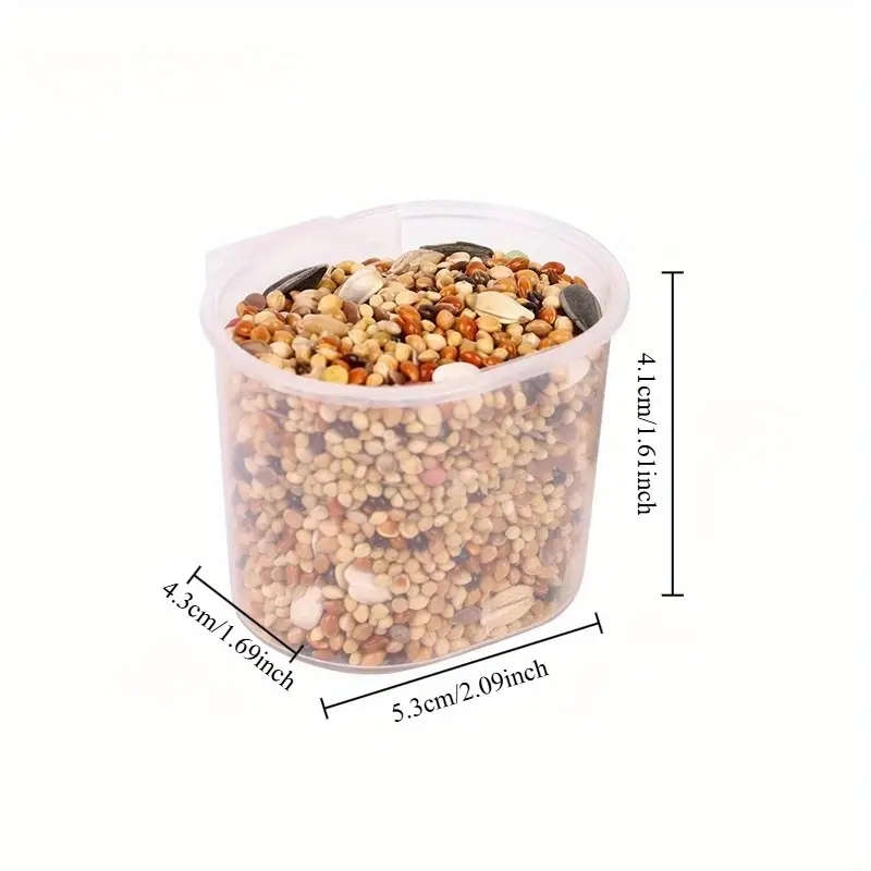 Bird Feeder