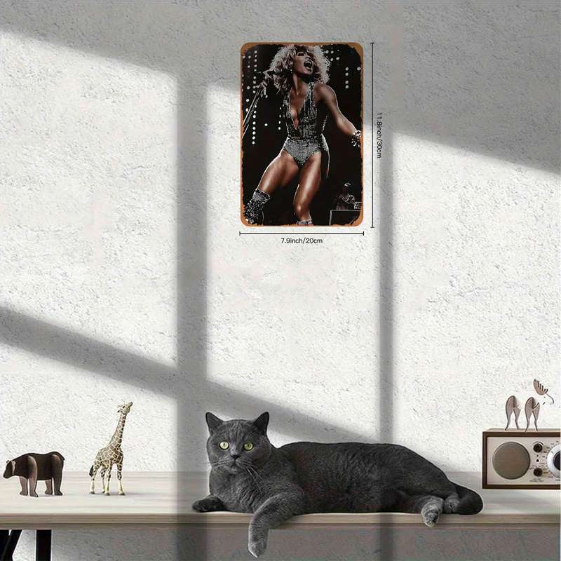 1pc Vintage Tina Turner Retro Metal Wall Art Plaque Rustic 2D Iron Decor for Home Office Bar a