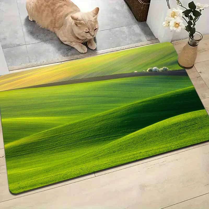1Pc 40x60cm 15.7x23.62inch Floor Mat