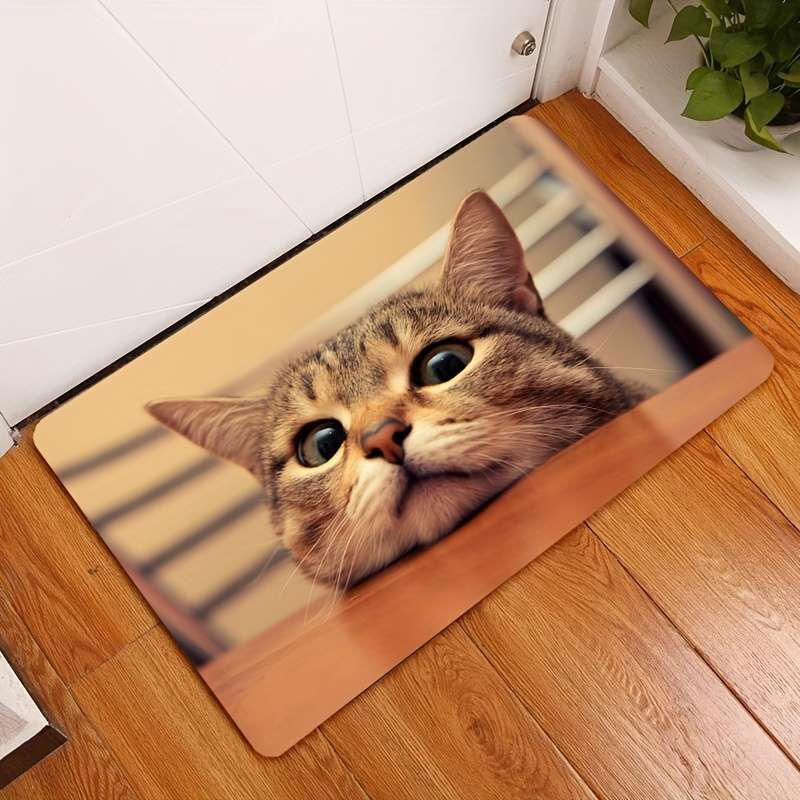 1Pc 50x80cm 19.7x31.5inch Floor Mat
