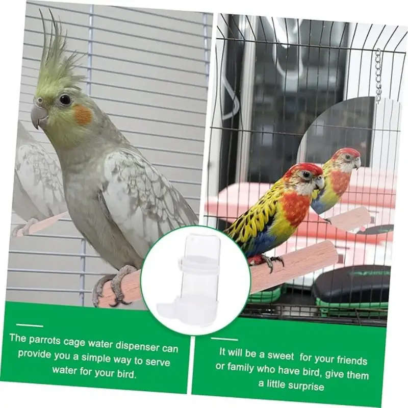 Small Bird Feeder