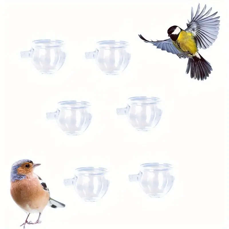 Small Bird Feeder