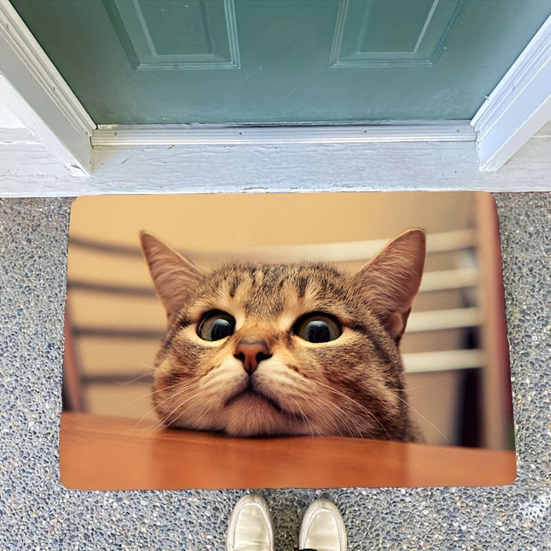 1Pc 50x80cm 19.7x31.5inch Floor Mat