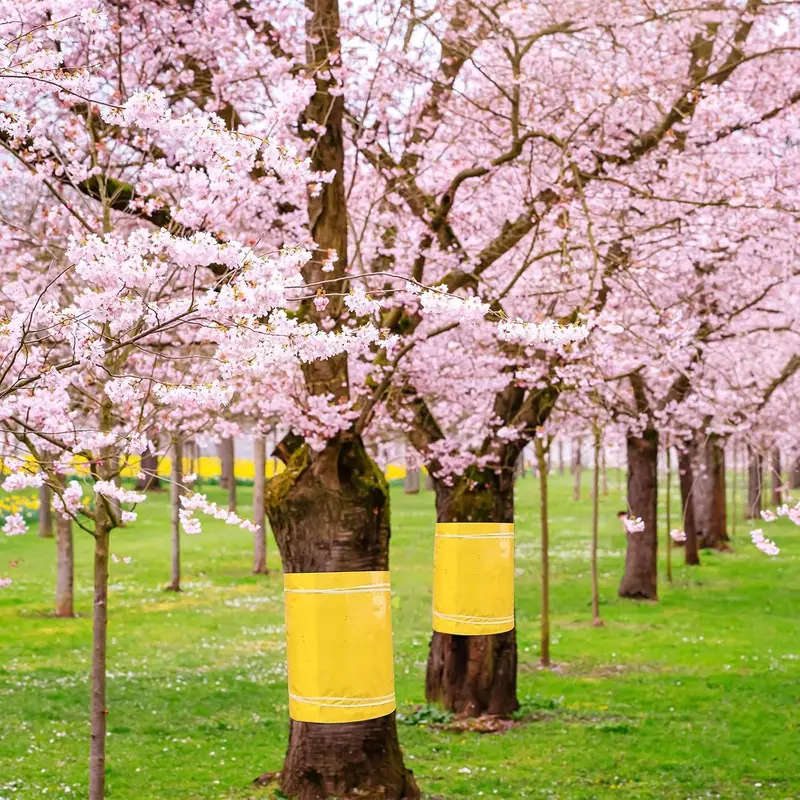 Self-Adhesive Fruit Tree Grafting Tape