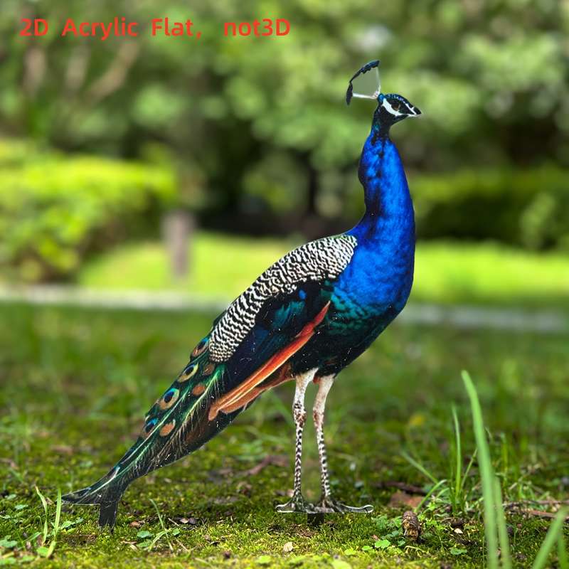 1pc 2D Flat   Vibrant  Printing Acrylic Peacock Garden Stake Durable Wind Rainproof