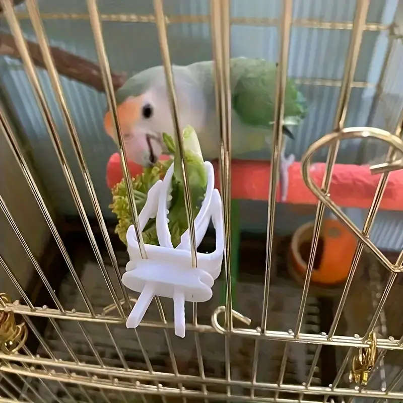 Small Bird Feeder