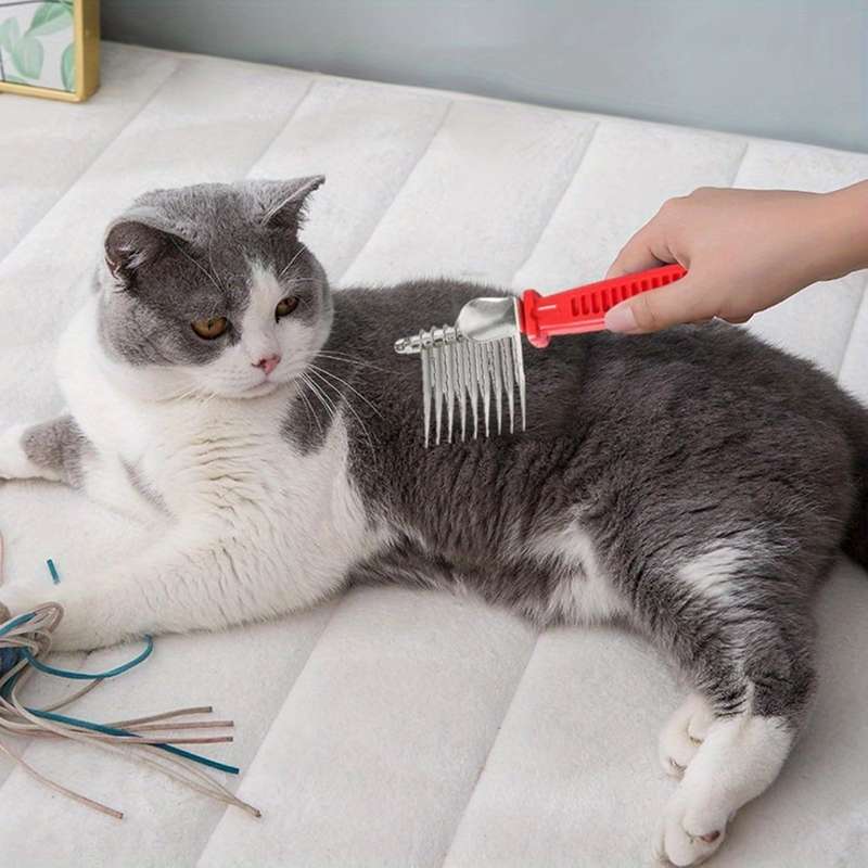 1pc Variant Pet Comb