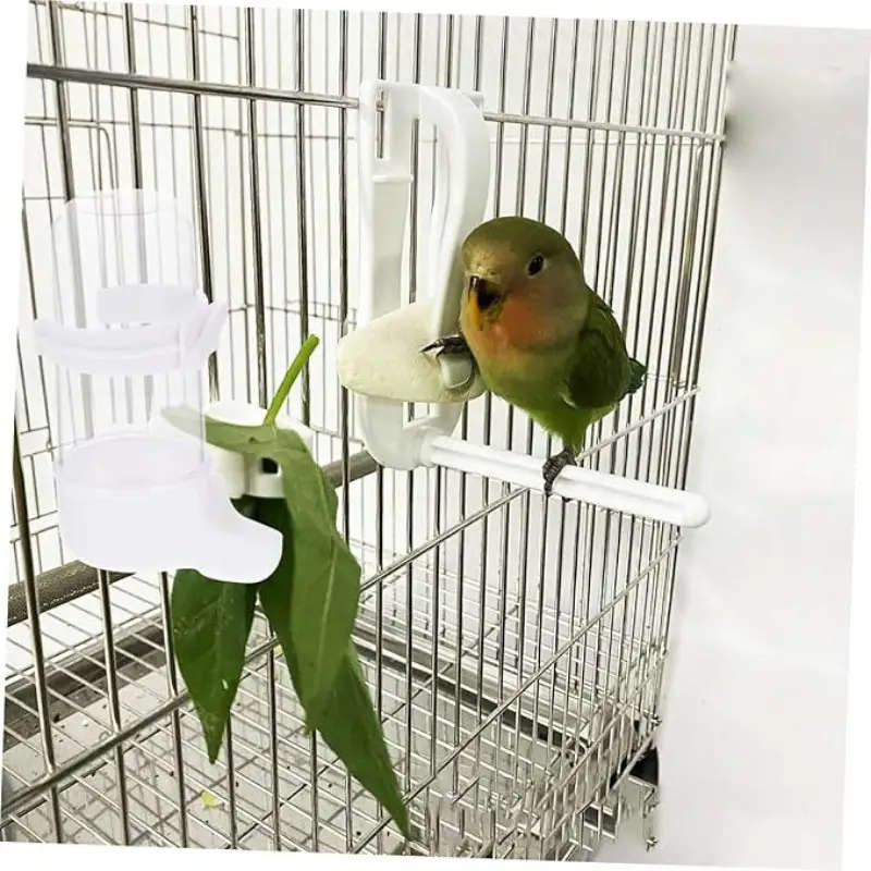 Small Bird Feeder