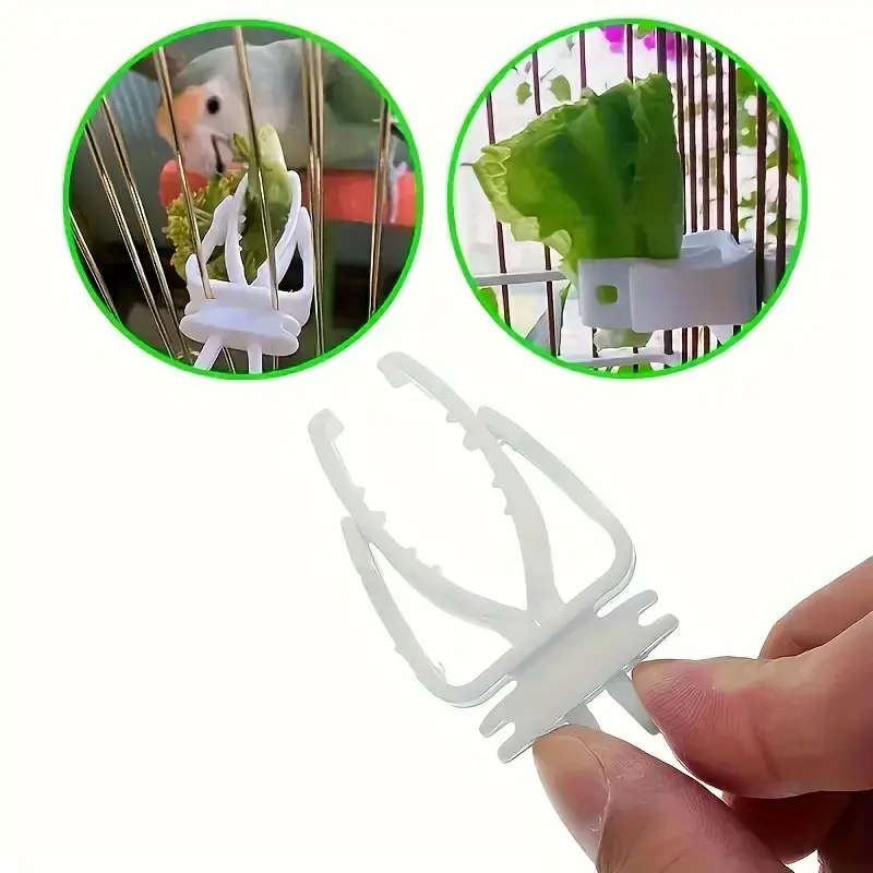 Small Bird Feeder