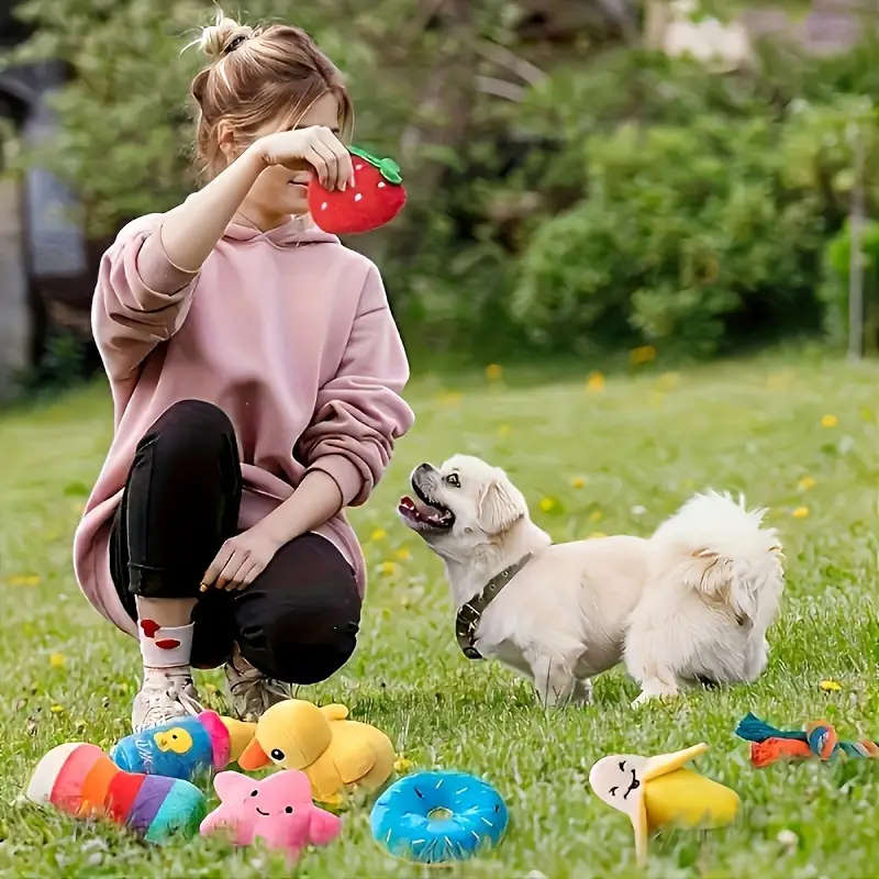 Dog Chew Toys