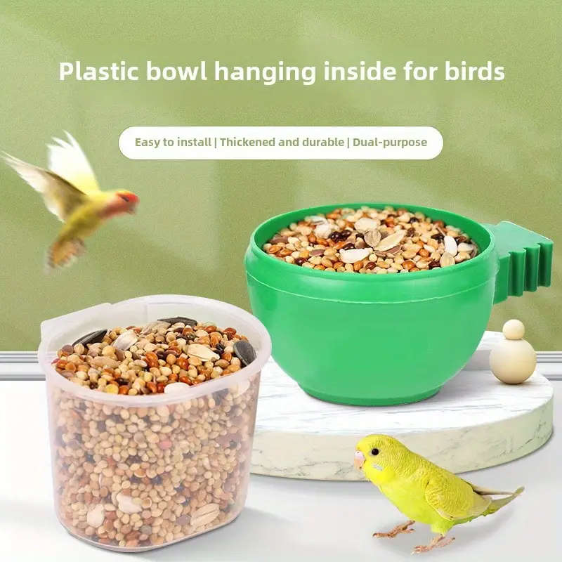 Bird Feeder