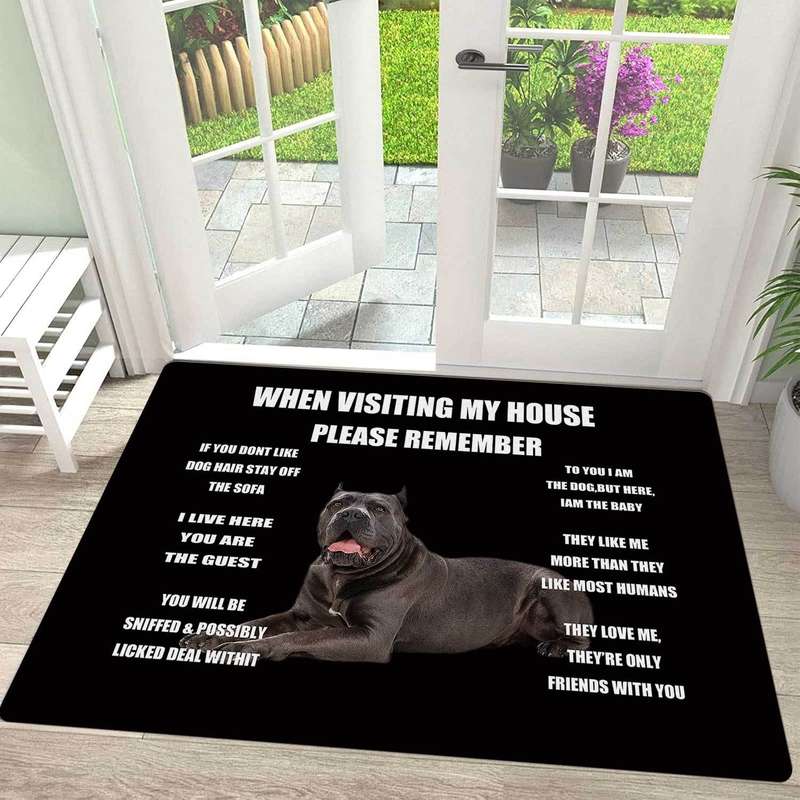 1Pc 50x80cm 19x31inch Floor Mat