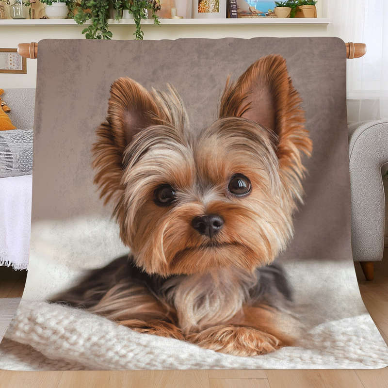 1ps Blanket Color Style1 size 70x100cm 27.5x39in