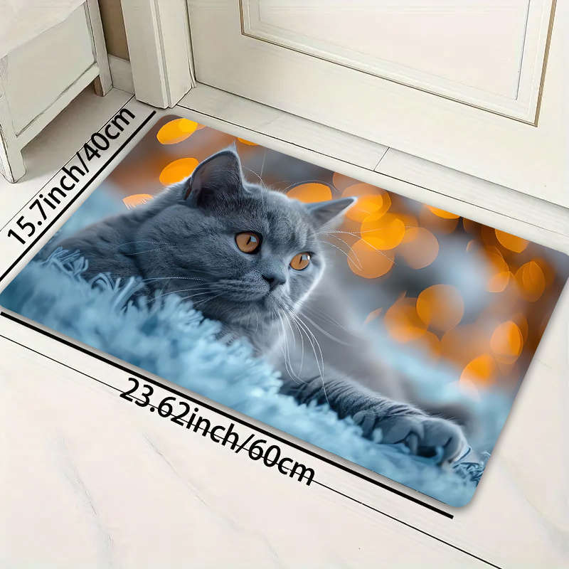 1Pc Gray Blue 19.69x31.49inch 50x80cm Floor Mat