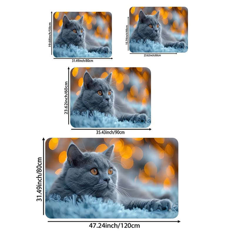 1Pc Gray Blue 19.69x31.49inch 50x80cm Floor Mat