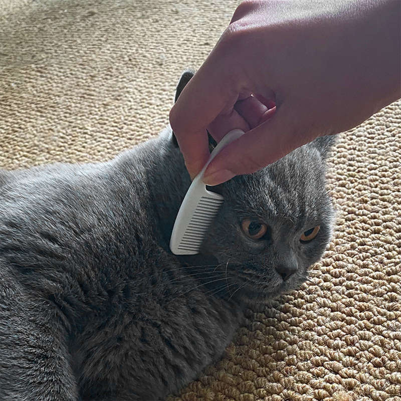 1pc 2PCS White Pet Comb