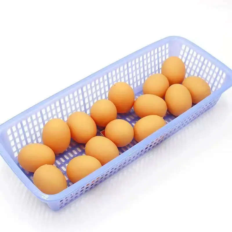 Pet Chew Toys