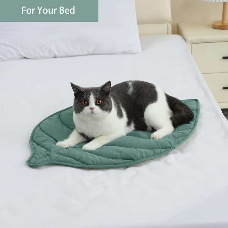 1PC Pet Mat Green