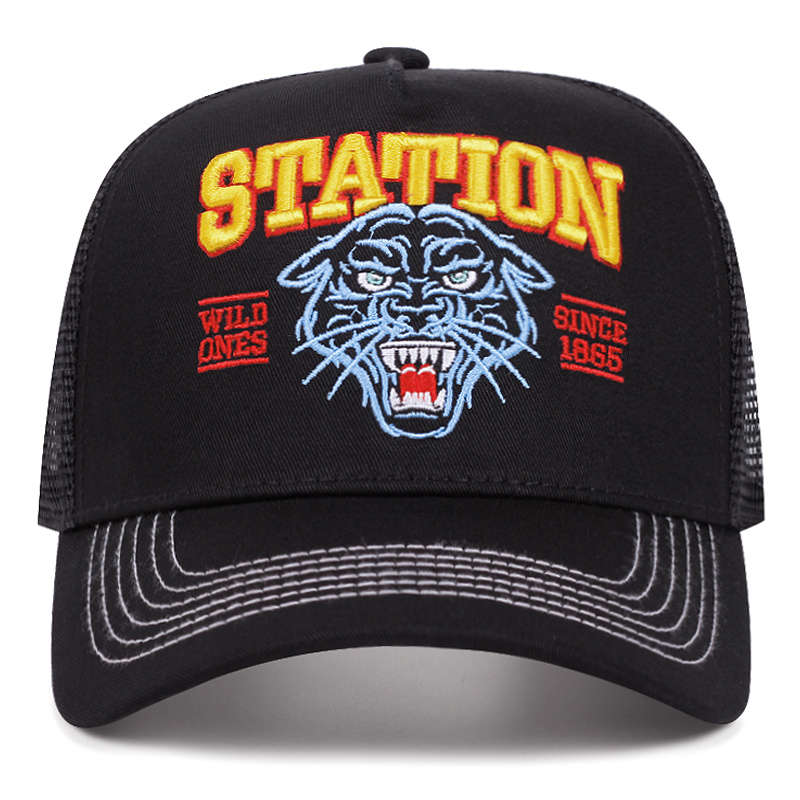 1pc Men's Spring Autumn Sun Protection Baseball Cap Outdoor Truck Driver Hat 100% Pol