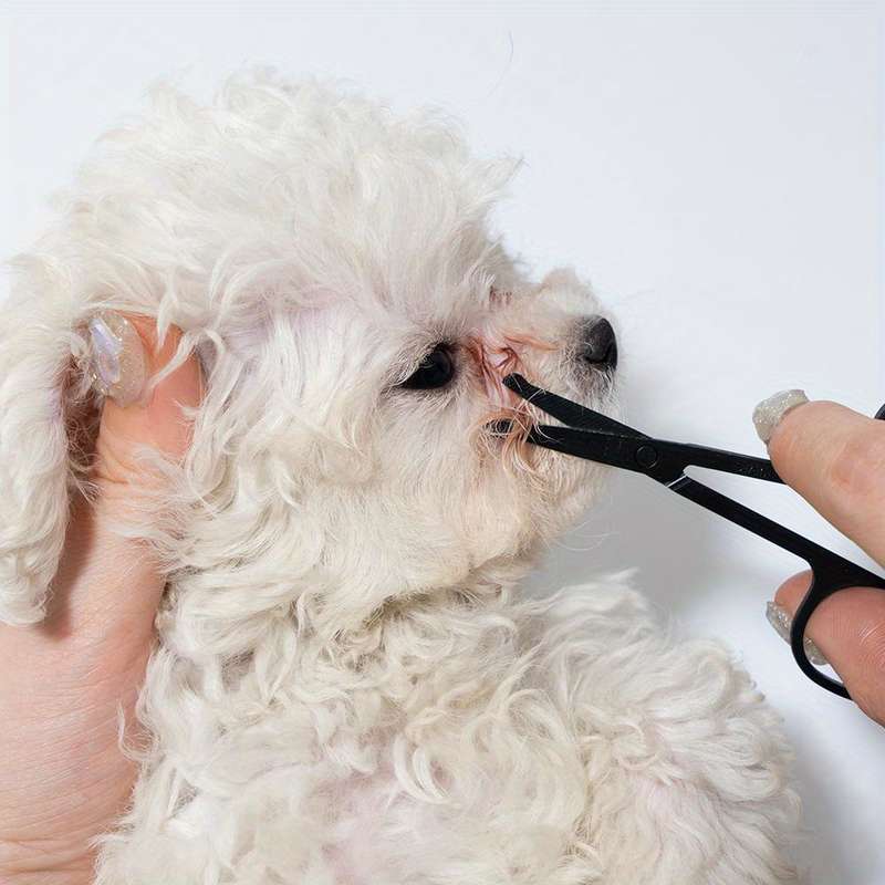 1pc As The Picture1 Pet Comb