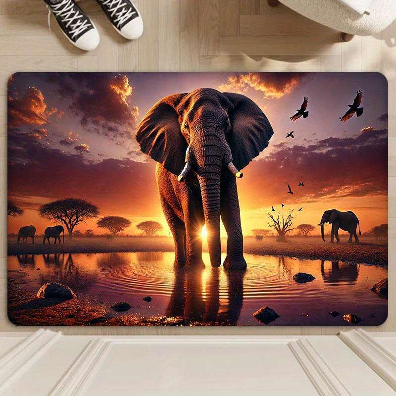 1Pc 20x32inch 50x80cm Floor Mat