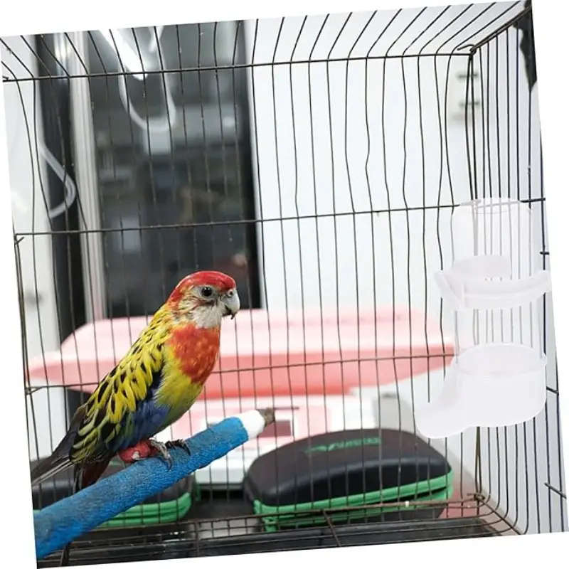 Small Bird Feeder