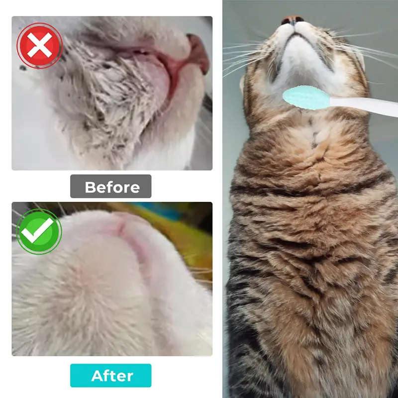 Pet Comb