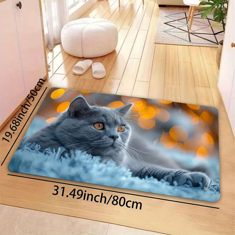 1Pc Gray Blue 19.69x31.49inch 50x80cm Floor Mat