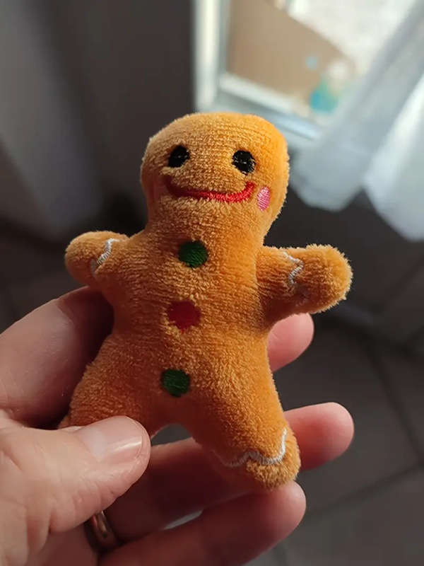 Dog Chew Toys